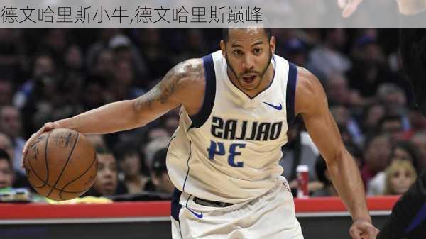 德文哈里斯小牛,德文哈里斯巅峰