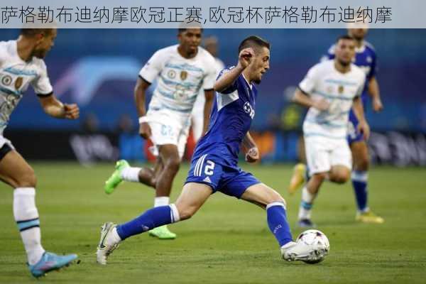 萨格勒布迪纳摩欧冠正赛,欧冠杯萨格勒布迪纳摩