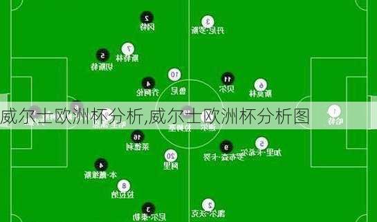 威尔士欧洲杯分析,威尔士欧洲杯分析图