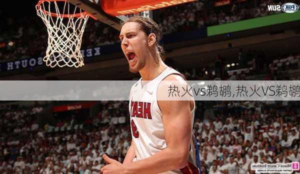 热火vs鹈鹕,热火VS鹈鹕