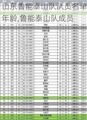 山东鲁能泰山队队员名单年龄,鲁能泰山队成员