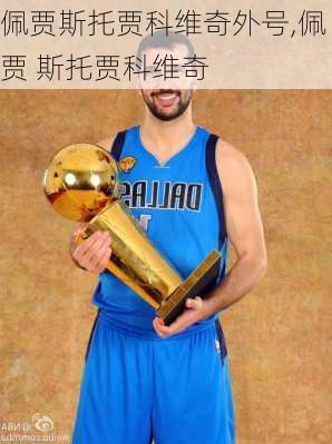 佩贾斯托贾科维奇外号,佩贾 斯托贾科维奇