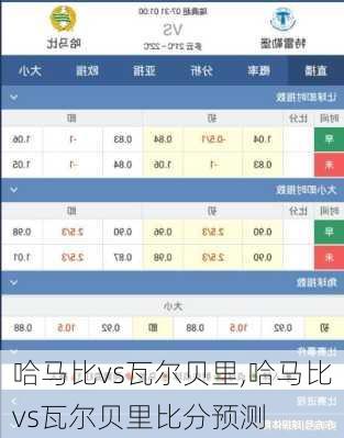 哈马比vs瓦尔贝里,哈马比vs瓦尔贝里比分预测