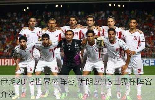 伊朗2018世界杯阵容,伊朗2018世界杯阵容介绍