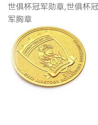 世俱杯冠军勋章,世俱杯冠军胸章