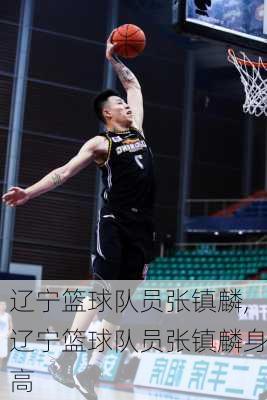 辽宁篮球队员张镇麟,辽宁篮球队员张镇麟身高