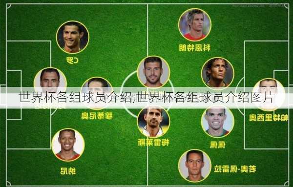世界杯各组球员介绍,世界杯各组球员介绍图片