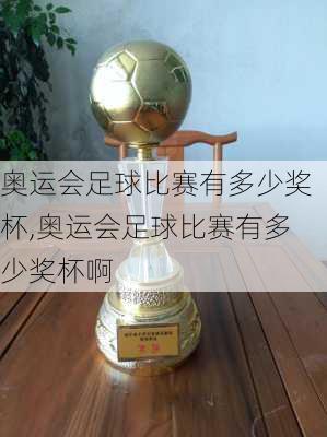 奥运会足球比赛有多少奖杯,奥运会足球比赛有多少奖杯啊