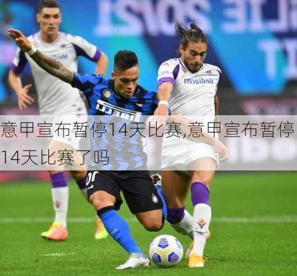 意甲宣布暂停14天比赛,意甲宣布暂停14天比赛了吗