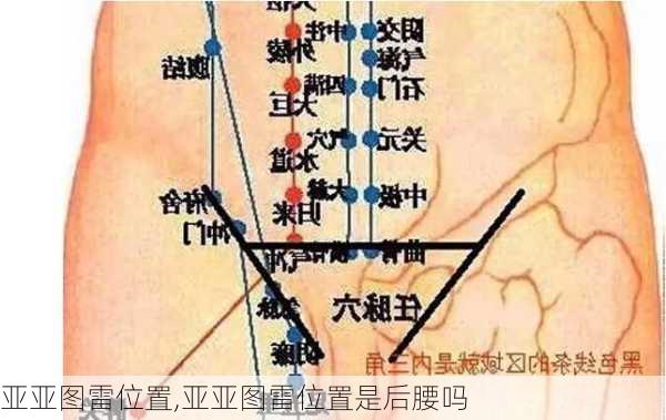 亚亚图雷位置,亚亚图雷位置是后腰吗