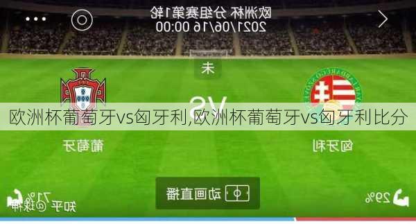 欧洲杯葡萄牙vs匈牙利,欧洲杯葡萄牙vs匈牙利比分