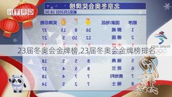23届冬奥会金牌榜,23届冬奥会金牌榜排名