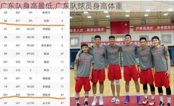 广东队身高最低,广东队球员身高体重