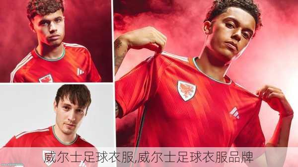 威尔士足球衣服,威尔士足球衣服品牌