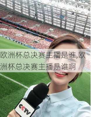 欧洲杯总决赛主播是谁,欧洲杯总决赛主播是谁啊