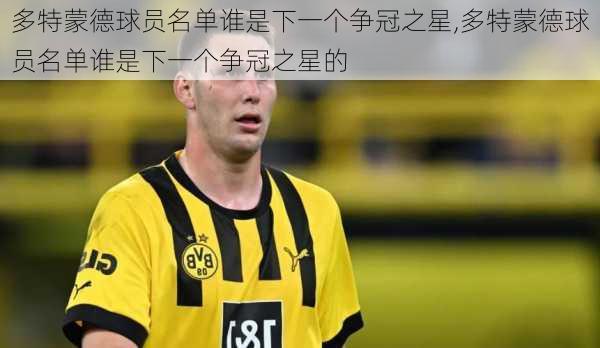 多特蒙德球员名单谁是下一个争冠之星,多特蒙德球员名单谁是下一个争冠之星的