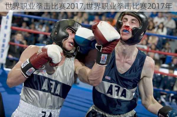 世界职业拳击比赛2017,世界职业拳击比赛2017年