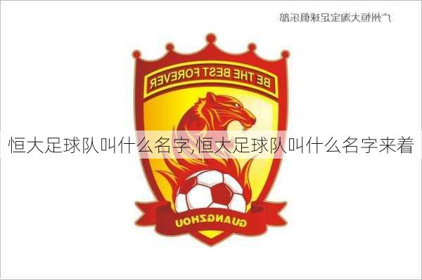 恒大足球队叫什么名字,恒大足球队叫什么名字来着