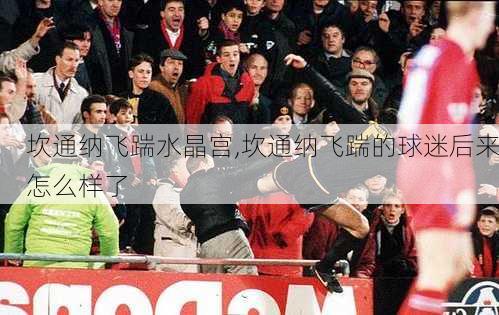 坎通纳飞踹水晶宫,坎通纳飞踹的球迷后来怎么样了