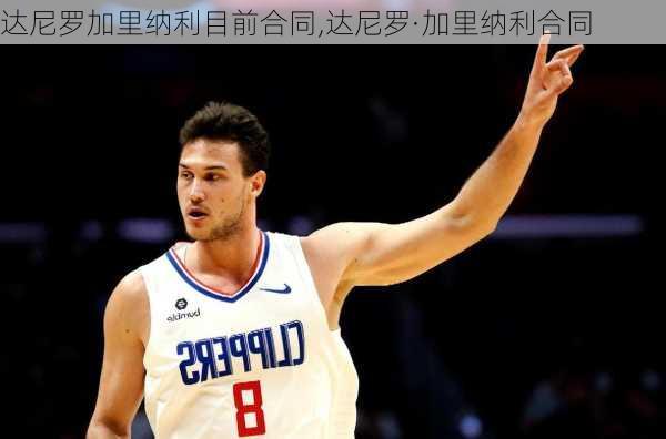 达尼罗加里纳利目前合同,达尼罗·加里纳利合同