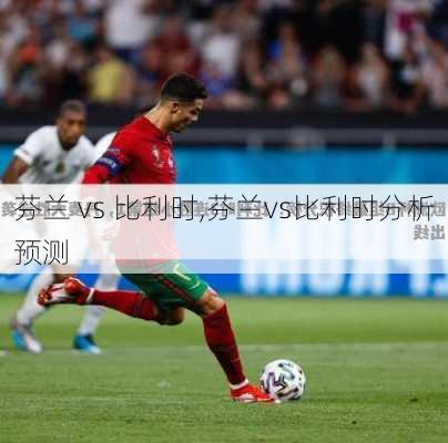 芬兰 vs 比利时,芬兰vs比利时分析预测