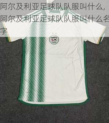 阿尔及利亚足球队队服叫什么,阿尔及利亚足球队队服叫什么名字