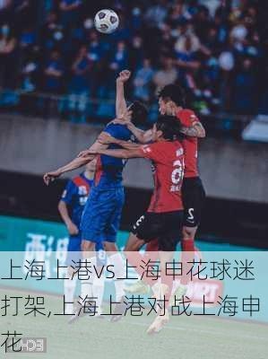 上海上港vs上海申花球迷打架,上海上港对战上海申花
