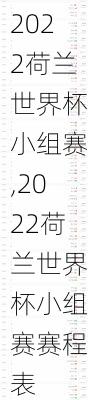 2022荷兰世界杯小组赛,2022荷兰世界杯小组赛赛程表