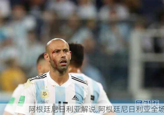 阿根廷尼日利亚解说,阿根廷尼日利亚全场