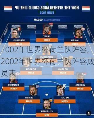 2002年世界杯荷兰队阵容,2002年世界杯荷兰队阵容成员表