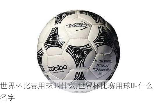 世界杯比赛用球叫什么,世界杯比赛用球叫什么名字