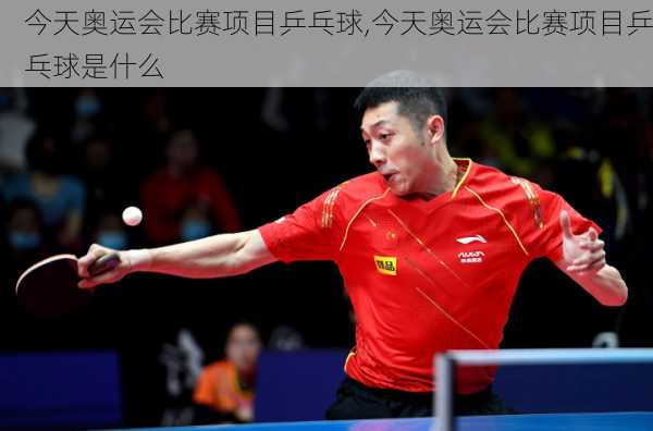 今天奥运会比赛项目乒乓球,今天奥运会比赛项目乒乓球是什么