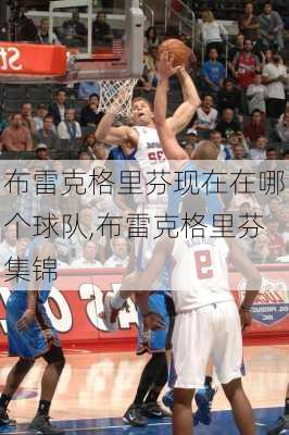 布雷克格里芬现在在哪个球队,布雷克格里芬集锦