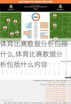 体育比赛数据分析包括什么,体育比赛数据分析包括什么内容