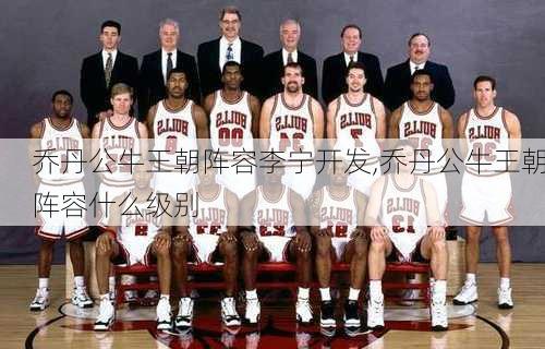 乔丹公牛王朝阵容李宁开发,乔丹公牛王朝阵容什么级别
