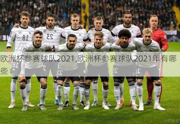 欧洲杯参赛球队2021,欧洲杯参赛球队2021年有哪些