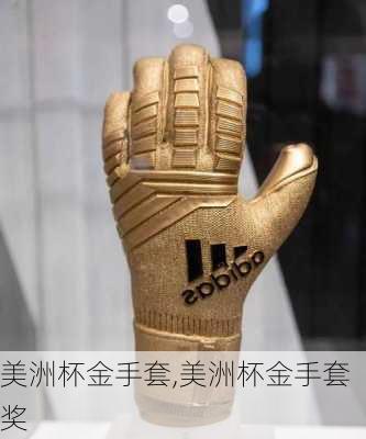 美洲杯金手套,美洲杯金手套奖