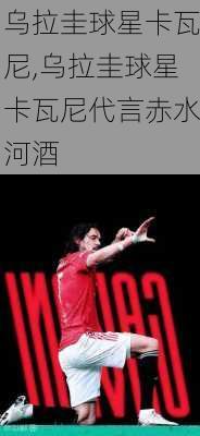 乌拉圭球星卡瓦尼,乌拉圭球星卡瓦尼代言赤水河酒