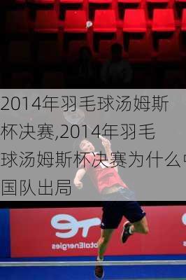 2014年羽毛球汤姆斯杯决赛,2014年羽毛球汤姆斯杯决赛为什么中国队出局