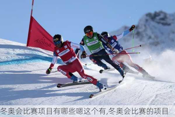 冬奥会比赛项目有哪些嗯这个有,冬奥会比赛的项目