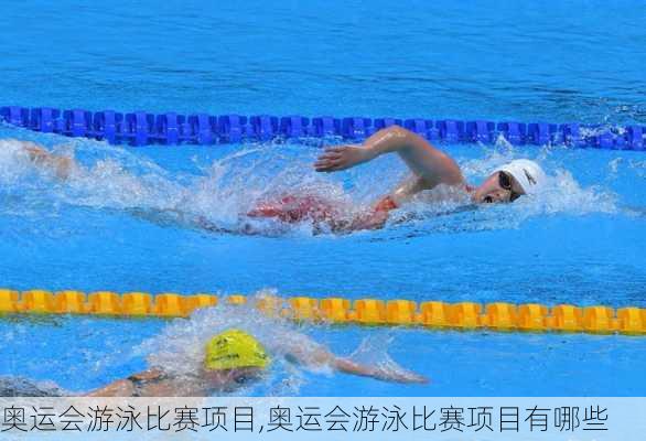 奥运会游泳比赛项目,奥运会游泳比赛项目有哪些