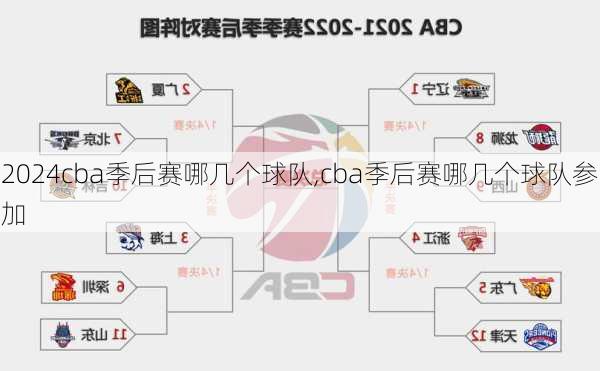 cba季后赛哪几个球队,cba季后赛哪几个球队参加