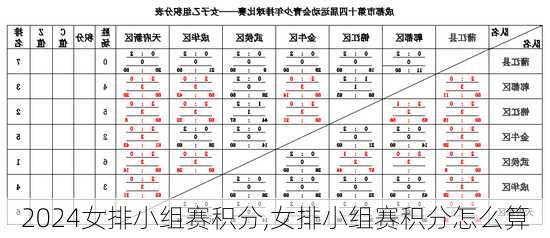 女排小组赛积分,女排小组赛积分怎么算