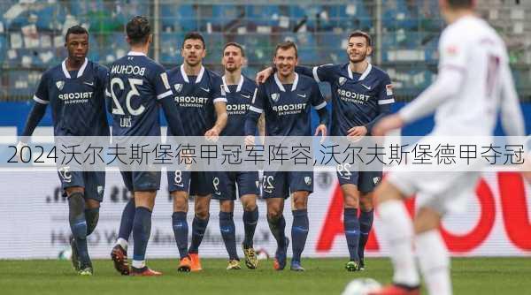 沃尔夫斯堡德甲冠军阵容,沃尔夫斯堡德甲夺冠