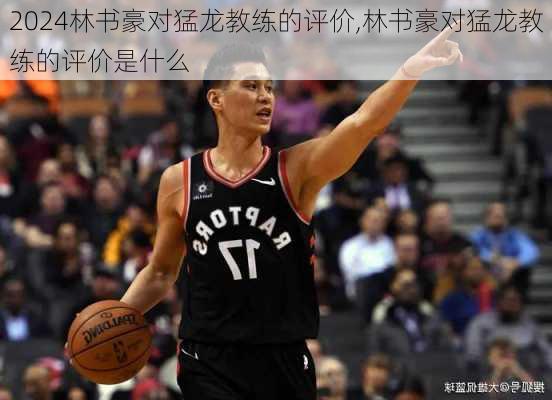 林书豪对猛龙教练的评价,林书豪对猛龙教练的评价是什么