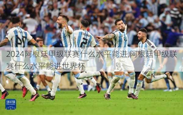 阿根廷甲级联赛什么水平能进,阿根廷甲级联赛什么水平能进世界杯