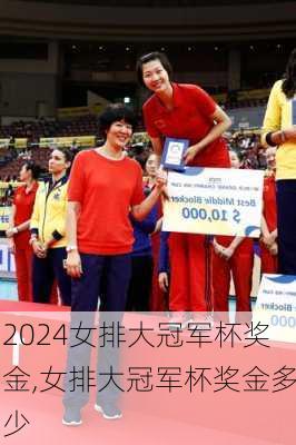 女排大冠军杯奖金,女排大冠军杯奖金多少