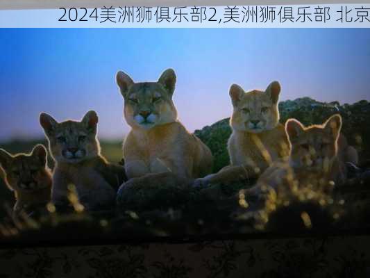 美洲狮俱乐部2,美洲狮俱乐部 北京