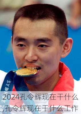 孔令辉现在干什么,孔令辉现在干什么工作