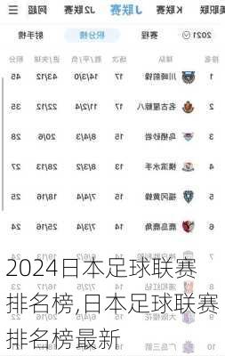 日本足球联赛排名榜,日本足球联赛排名榜最新